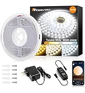 LED Strip Lights, 3000K-6500K Tunable White LED Light Strip, CT Capetronix 16.4ft 300LEDs 600Chip...