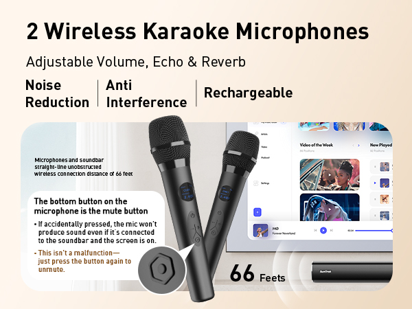 2 Wireless Karaoke Microphones