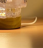 DIY Ice Cube Rose Light LED Night Light Kit, 3 Speed Dimming Bedside Lamp with USB Cable and Swit...