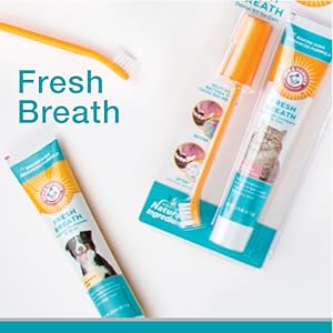 dog teeth cleaning cat toothpaste dog toothbrush and toothpaste cat toothbrush and toothpaste