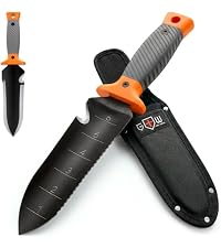 https://m.media-amazon.com/images/I/416Y41TbriL.__AC_SR200,225___.jpg