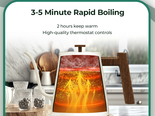 Gooseneck Electric Kettle Rapid Boiling