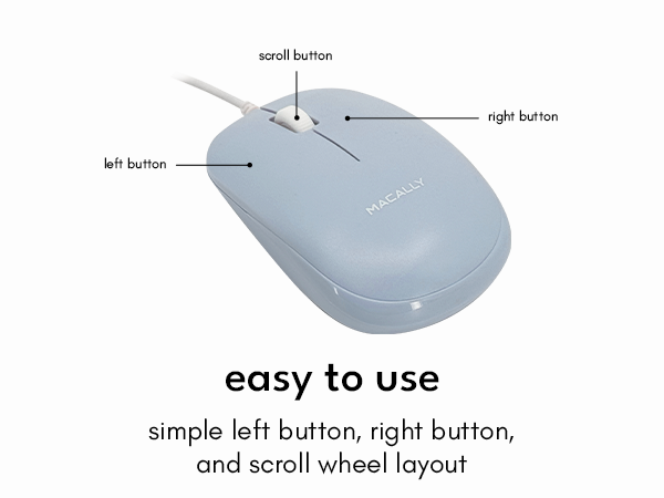 mouse