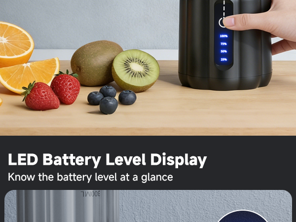 portable smoothie blender