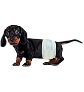 BV Male Dog Wraps, Small, 50 Counts Dog Diapers for Male Dogs, Disposable Puppy Wraps