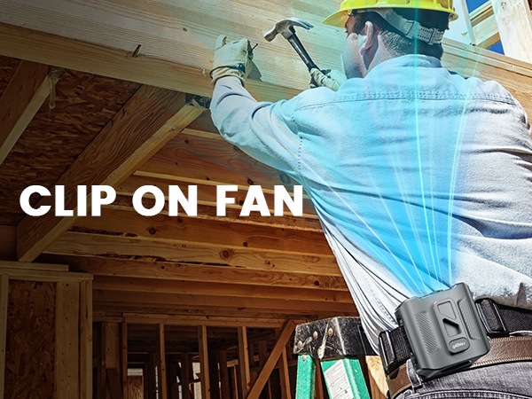 belt fan