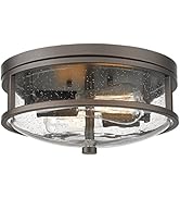 Rosient Flush Mount Ceiling Light Fixture, 12 inch 2-Light Modern Farmhouse Ceiling Light with Se...