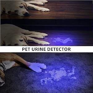 Pet urine detector