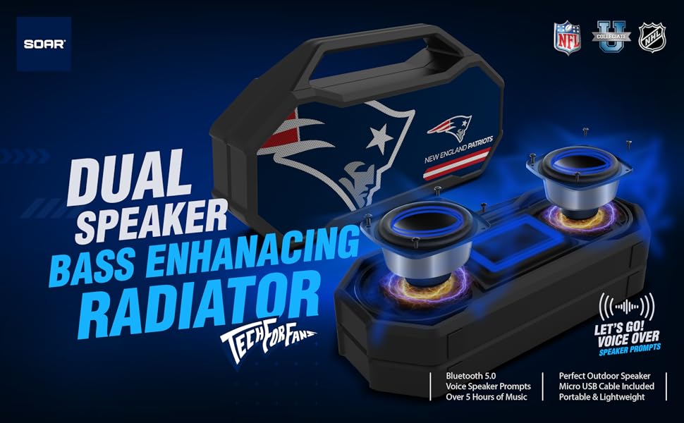 Dual Speaker