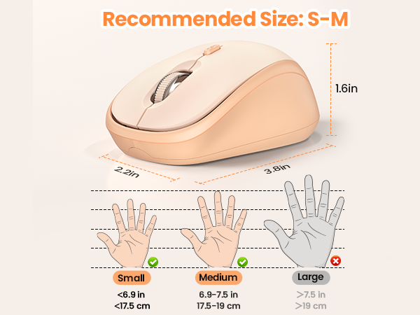 small mouse