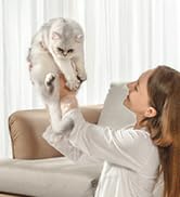 HAUSHOF Handheld Carpet Cleaner, 12V Cordless Portable Carpet Cleaner, 6.5KPa Spot Cleaner with 2...