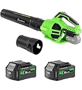 Leaf Blower Cordless with 2 x 4.0Ah Battery and Charger, 580CFM 160MPH Electric Blower with 2 Spe...