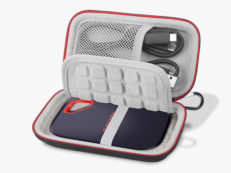 ssd carrying case