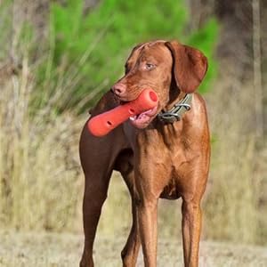 Dog food, dog food scoop, pet food scoop, pet food portions, dog food clip, dog food saver