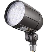 LEONLITE 12W LED Bullet Flood Light with Knuckle Mount, 80W Eqv. 1550LM 5000K Daylight, 100-277V ...