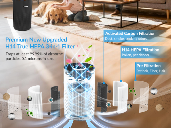 Air purifier for home