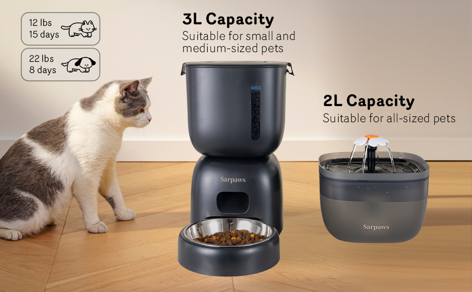 automatic cat feeder