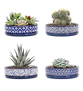 Selamica Ceramic Succulent Pots, 6 Inch Shallow Succulent Planters with Drainage Hole &amp; Saucer, I...