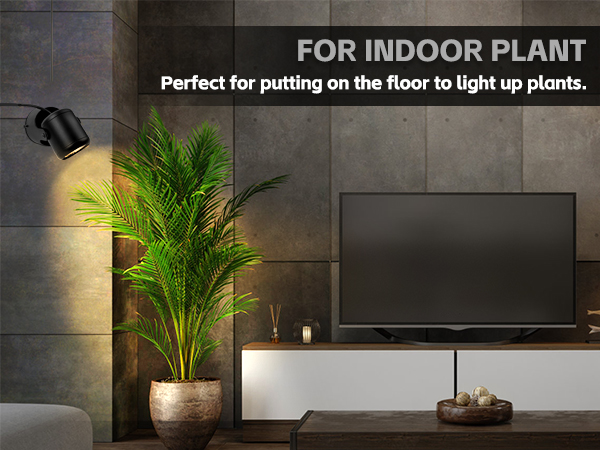 spotlight indoor