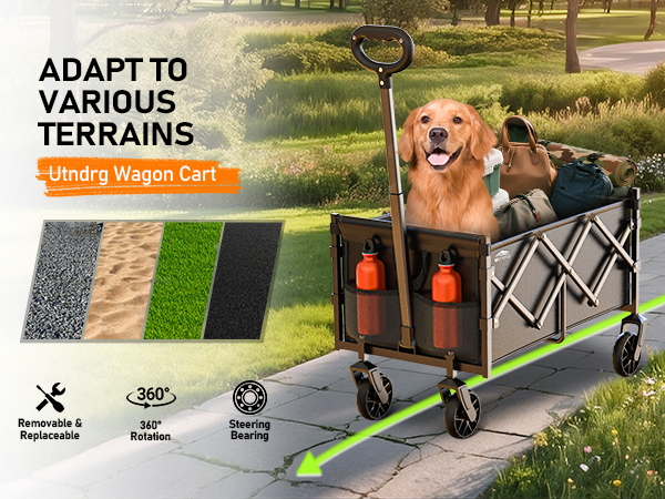 push wagon