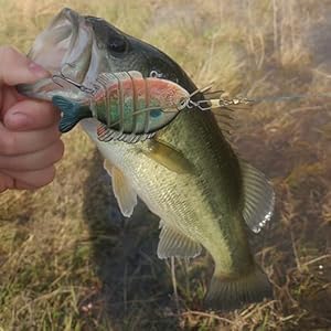 bass fishing