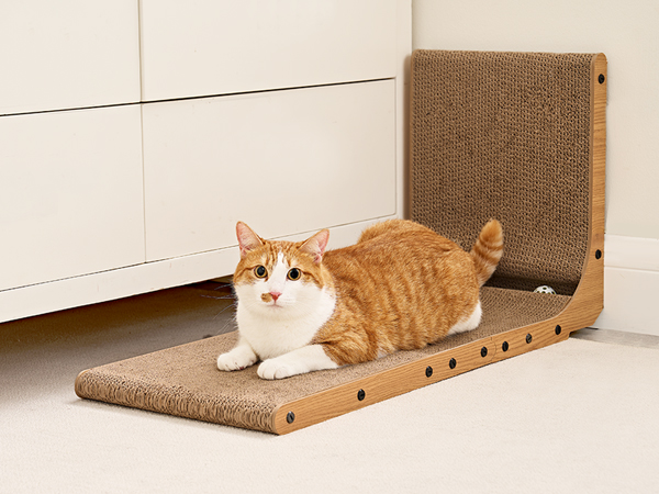 cat scratcher