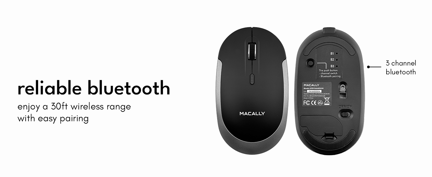 mouse