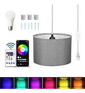 ZSLAIFU 15FT Hanging Lamp with Switch,Gray Hanging Lights with Plug in Cord, Pendant Lamp with Re...