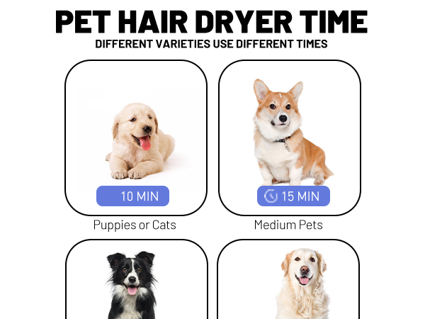 dog dryer hair blow pet grooming pet dryer high velocity deshedding Blanlody