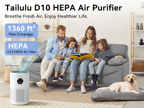D10 Air Purifier