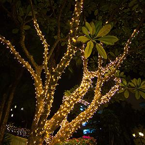 white christmas lights