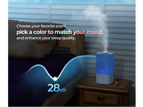 humidifier for plant