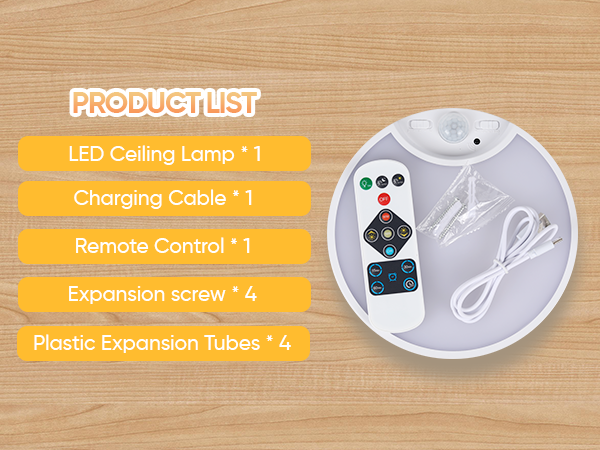 Ceiling light