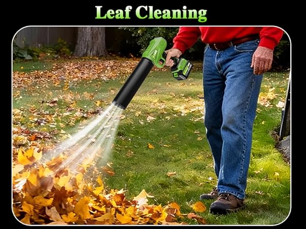 Leaf Cleaning