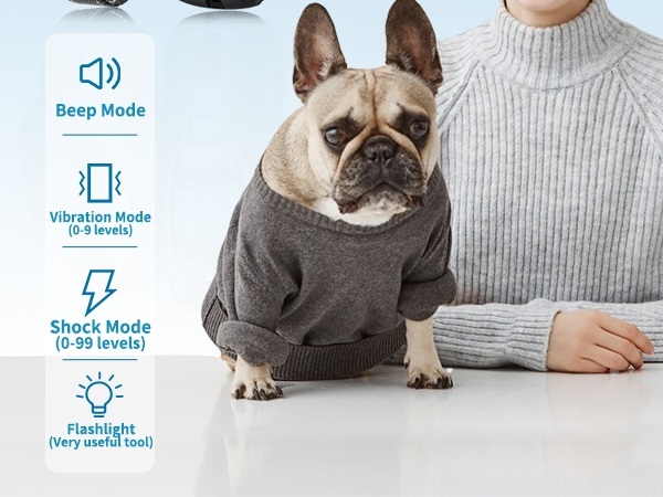 dog shock collar