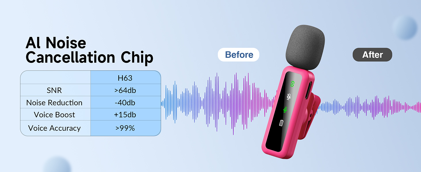 Chip