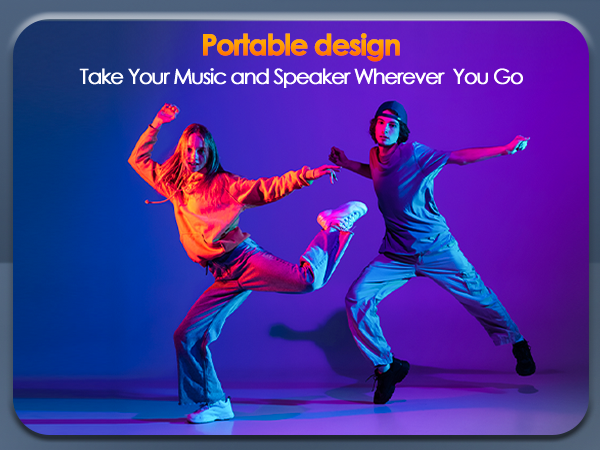 portable speaker wired