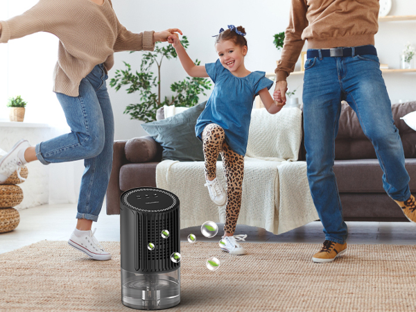 Dehumidifier Dehumidifiers for home