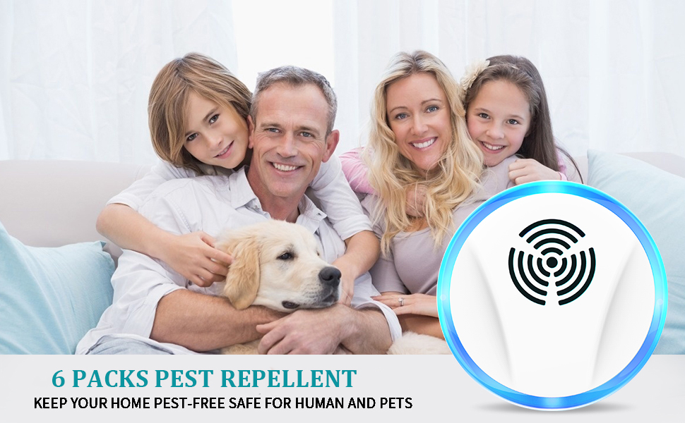 cockroach killer indoor home