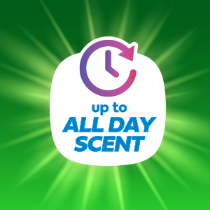 All Day Scent