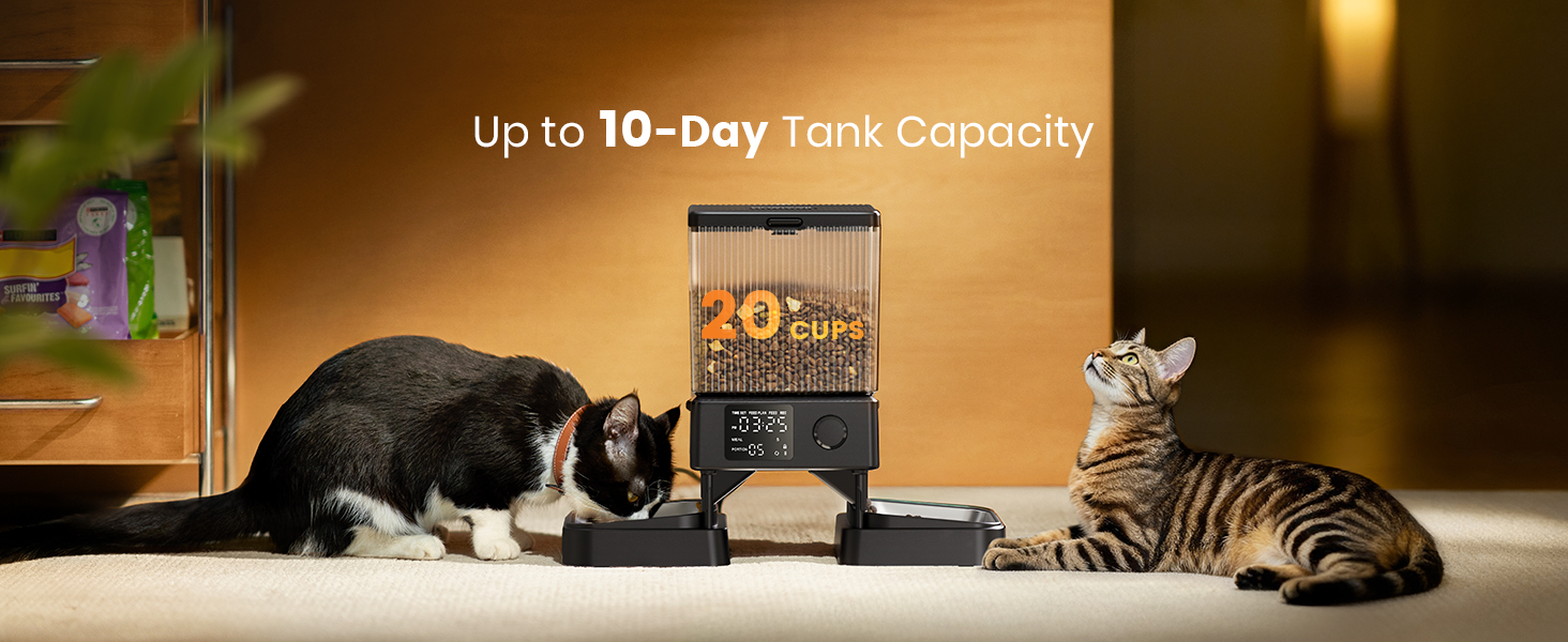 automatic cat feeder