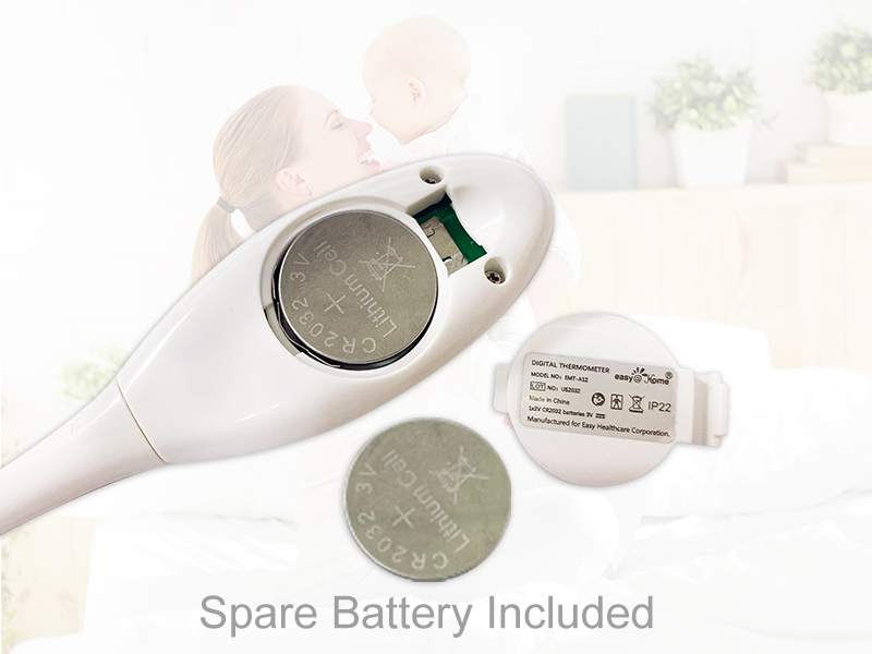 Additional Replaceable Battery