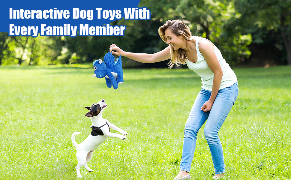 dog toys to keep them busy