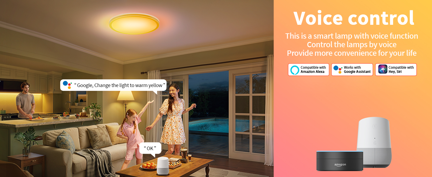 smart ceiling light