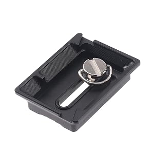 SUNRJ003.3