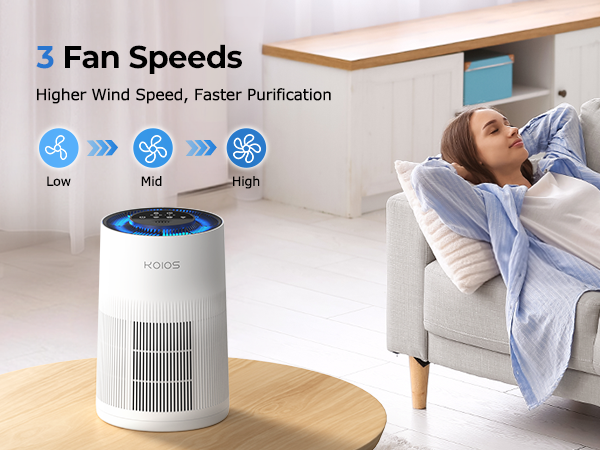 air purifiers for home large room