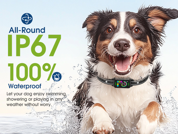 no bark collars for dogs IP67 Waterproof