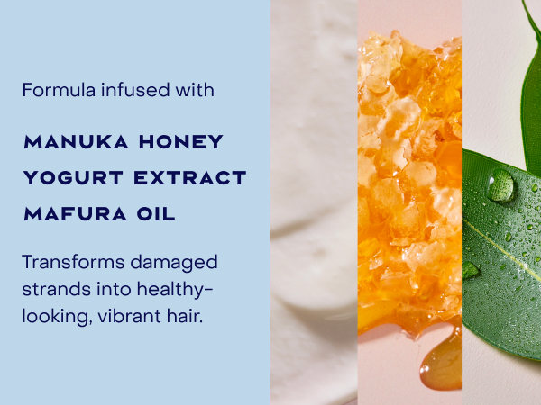 Image of some formula ingredients like manuka honey, yogurt extract, and mafura oil.