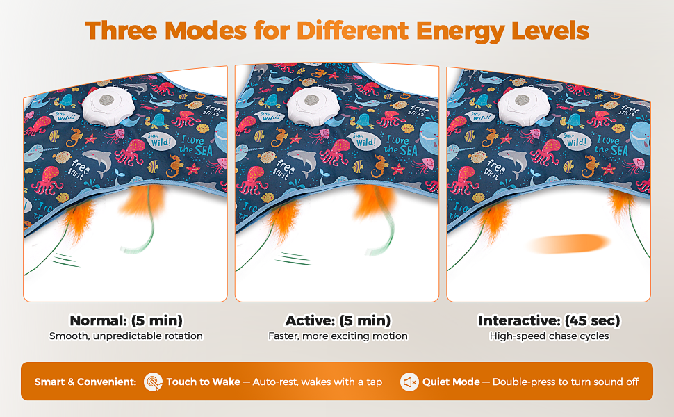 Interactive Cat Toys