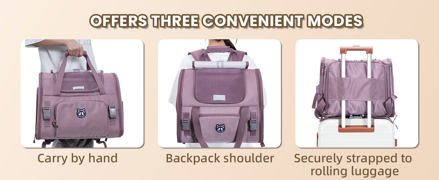 cat carrier
